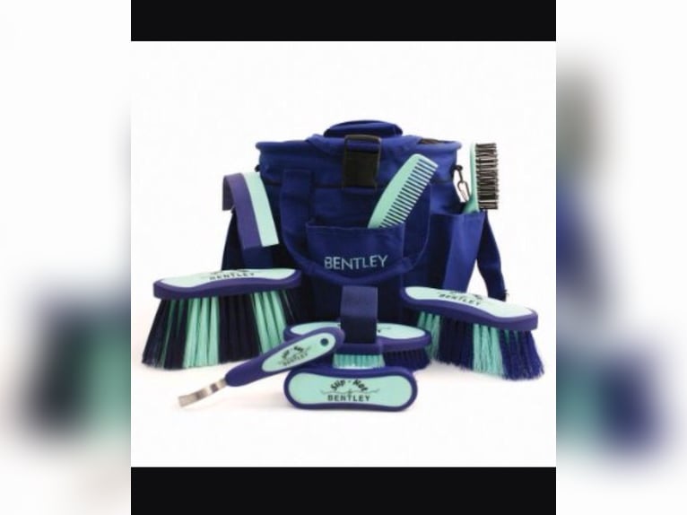 Quality horse brushes 