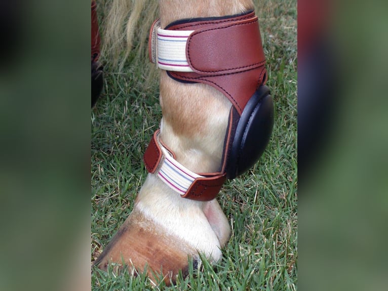 quality ankle savers 