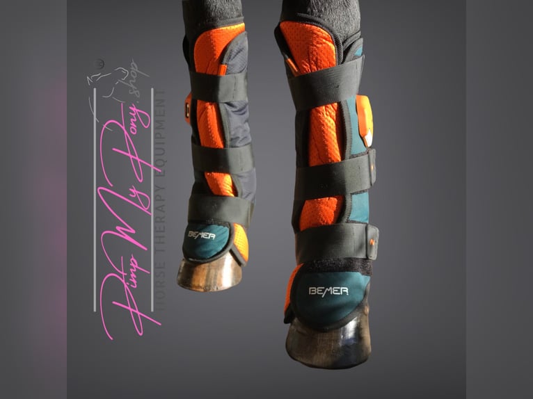 BEMER VET Magnetfeld Therapie Pferd Horse 2 Gamaschen rechts+links leihen mieten Vermietung Versand