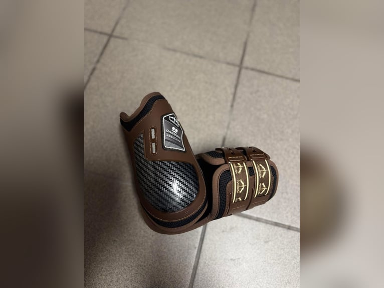 For sale Veredus brown carbon gel absolute L-size