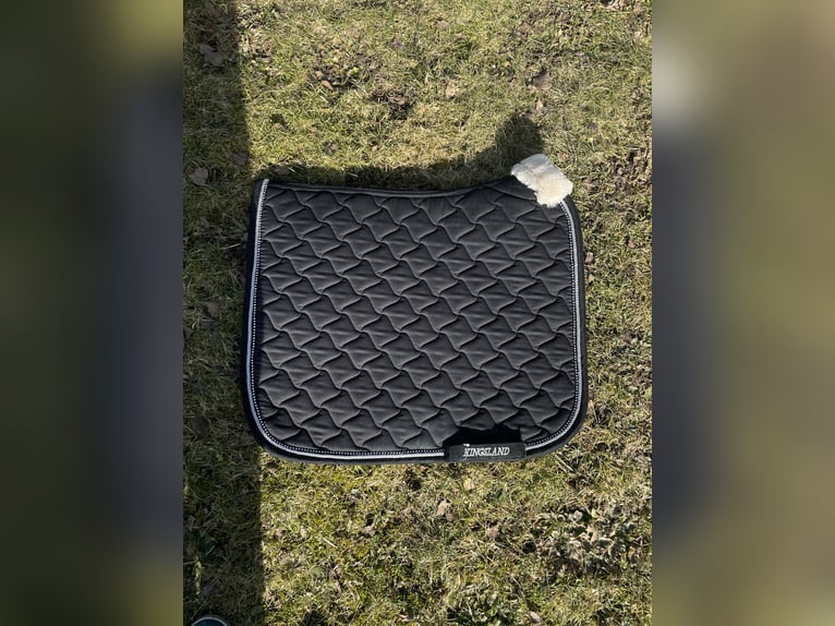 Gorgeous dressage Kingsland saddle pad with sheep skin