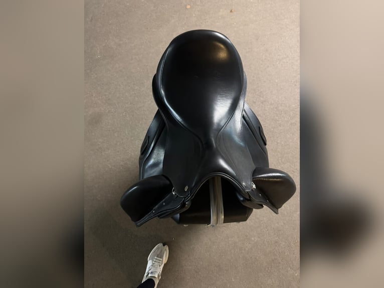 Aviar Ravuun 1.0