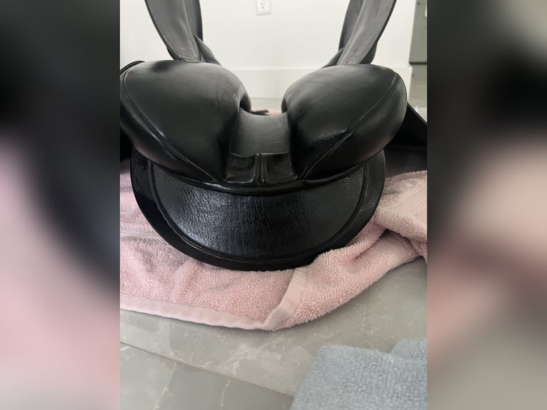 County Connection Dressage Saddle, 17.5" M Forward Flap