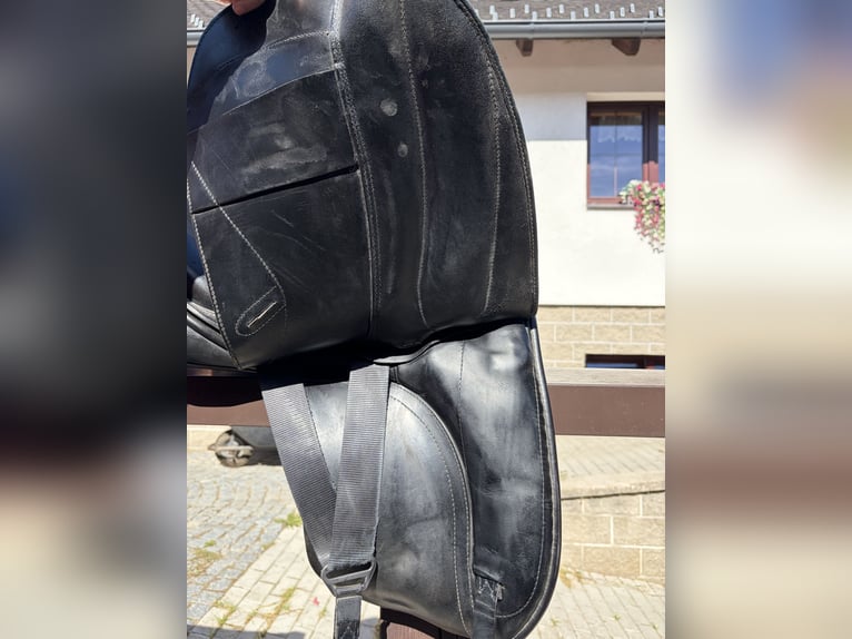 Dressage Saddle Custom
