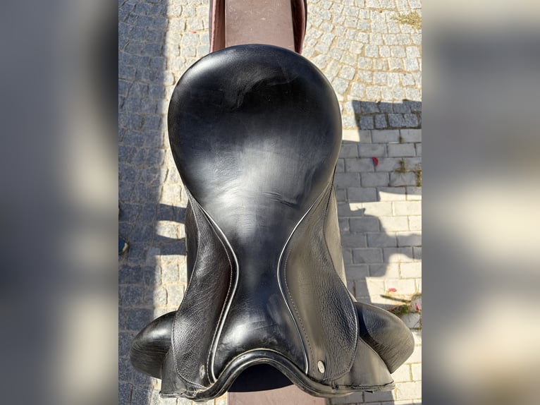 Dressage Saddle Custom