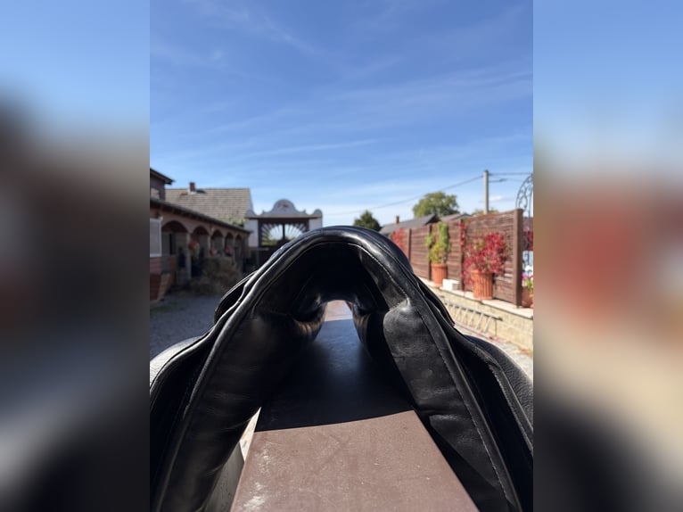 Dressage Saddle Custom