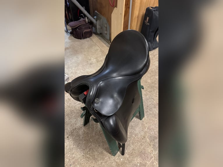 Dressage saddle-KIEFFER Wall-Street
