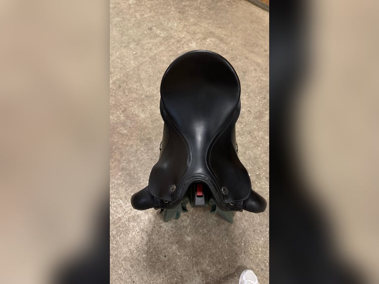 Dressage saddle-KIEFFER Wall-Street