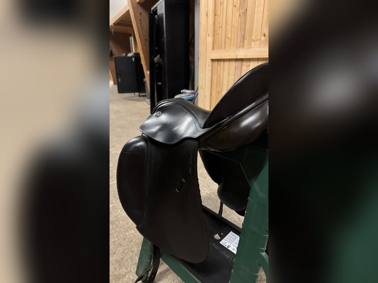Dressage saddle-KIEFFER Wall-Street