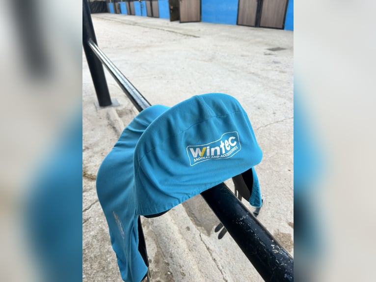 Dressage saddle wintec