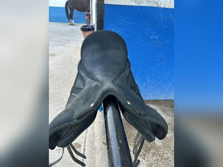 Dressage saddle wintec