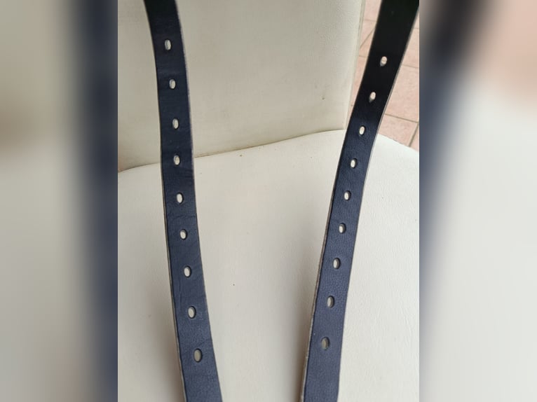 Jorge Canaves Celebration Dressage Saddle