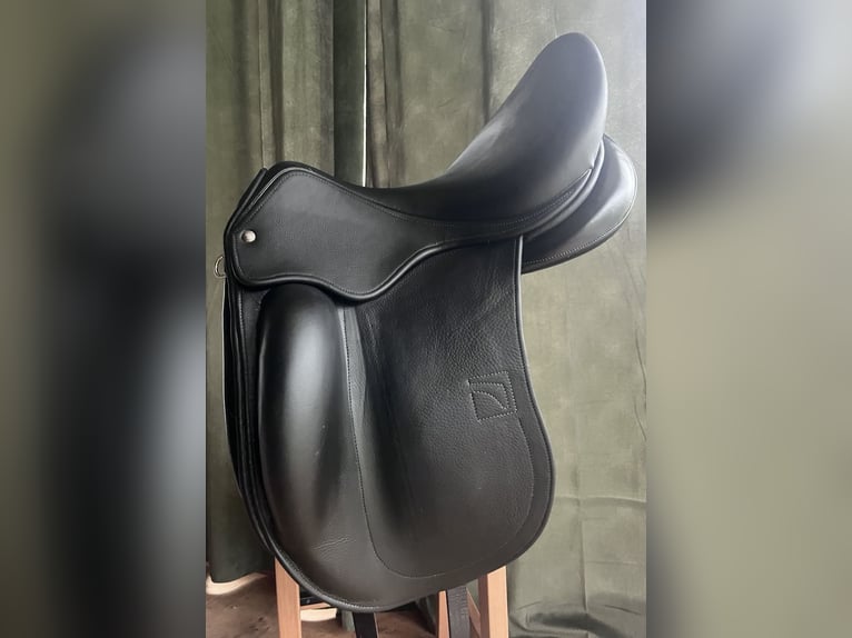 Luc Childeric Saddles – DNL and DSG Models