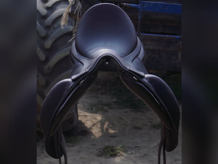Luc Childeric Saddles – DNL and DSG Models
