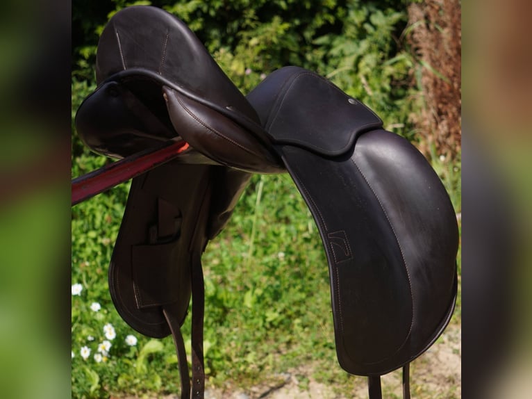 Luc Childeric Saddles – DNL and DSG Models
