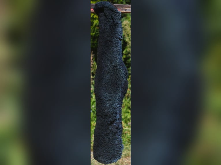 Luc Childeric Saddles – DNL and DSG Models