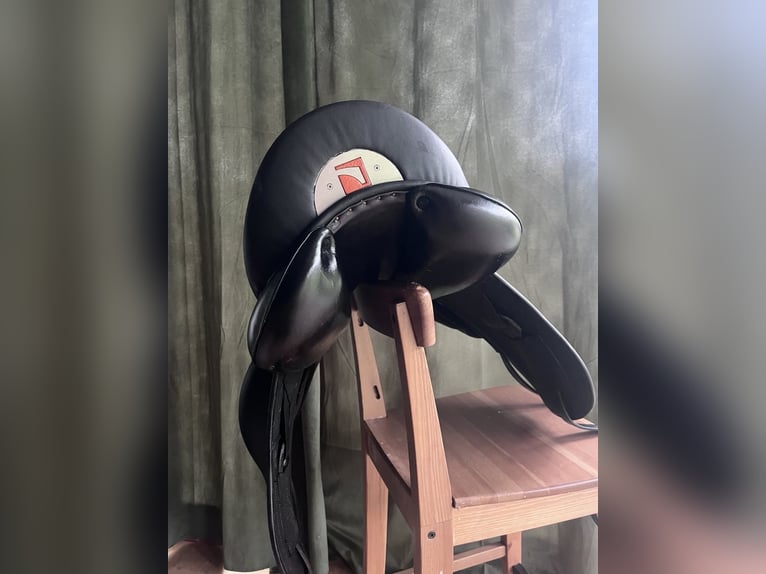Luc Childeric Saddles – DNL and DSG Models