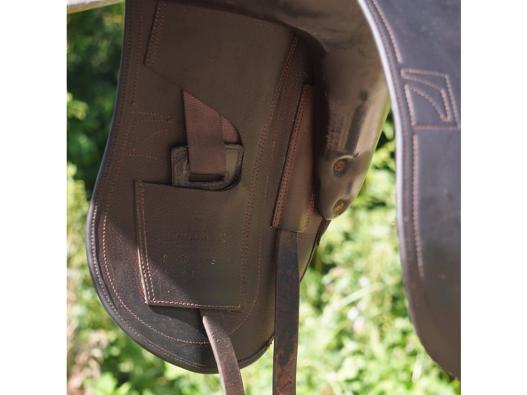 Luc Childeric Saddles – DNL and DSG Models
