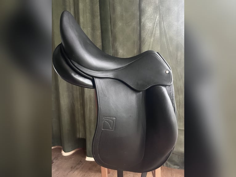 Luc Childeric Saddles – DNL and DSG Models