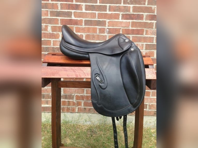 quality dressage saddles for your horses deliver nationwide delivery in just two days after order 