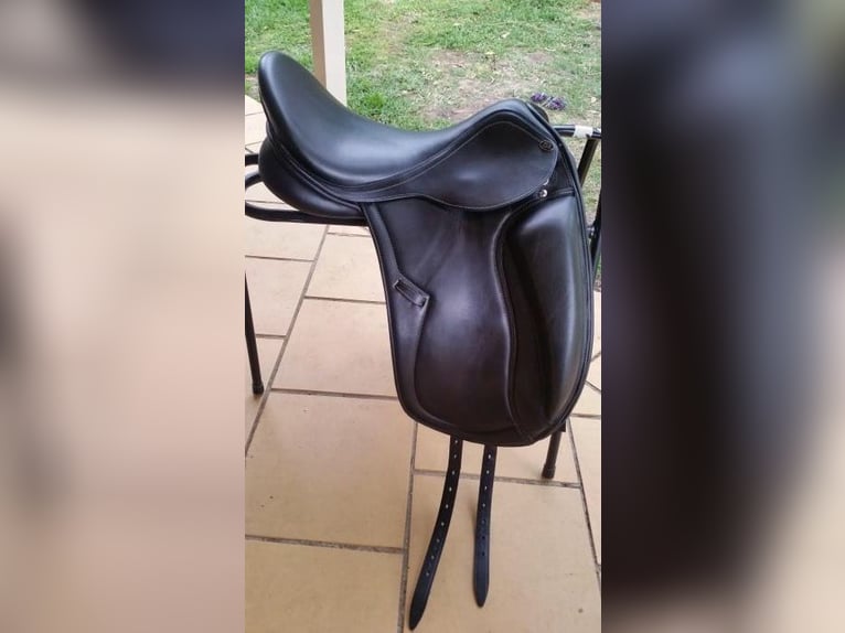 quality dressage saddles for your horses deliver nationwide delivery in just two days after order 