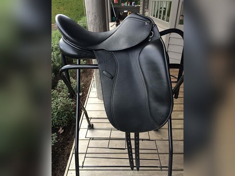 quality dressage saddles for your horses deliver nationwide delivery in just two days after order 