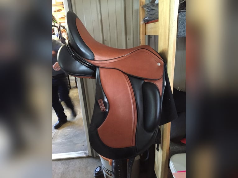 quality dressage saddles for your horses deliver nationwide delivery in just two days after order 