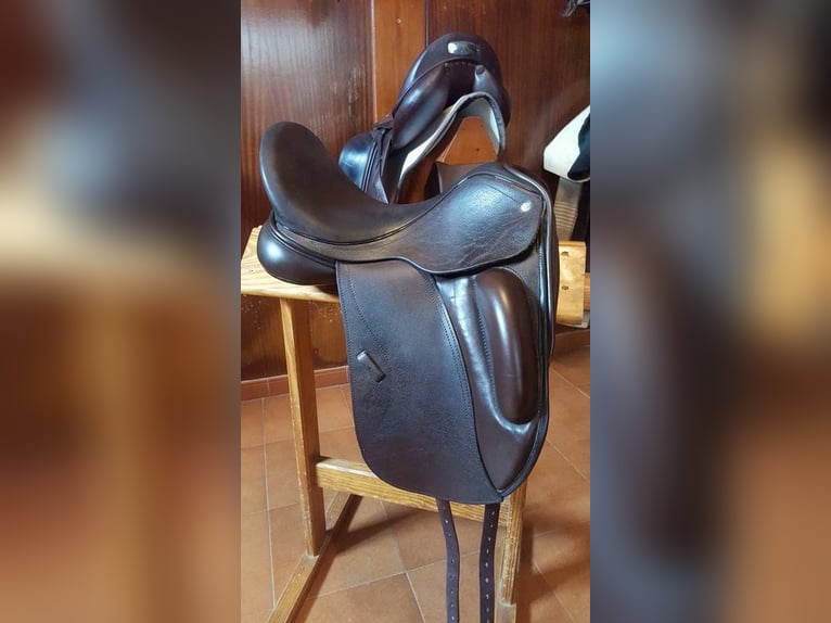 quality dressage saddles for your horses deliver nationwide delivery in just two days after order 
