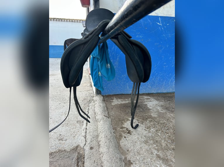 Wintec dressage saddle