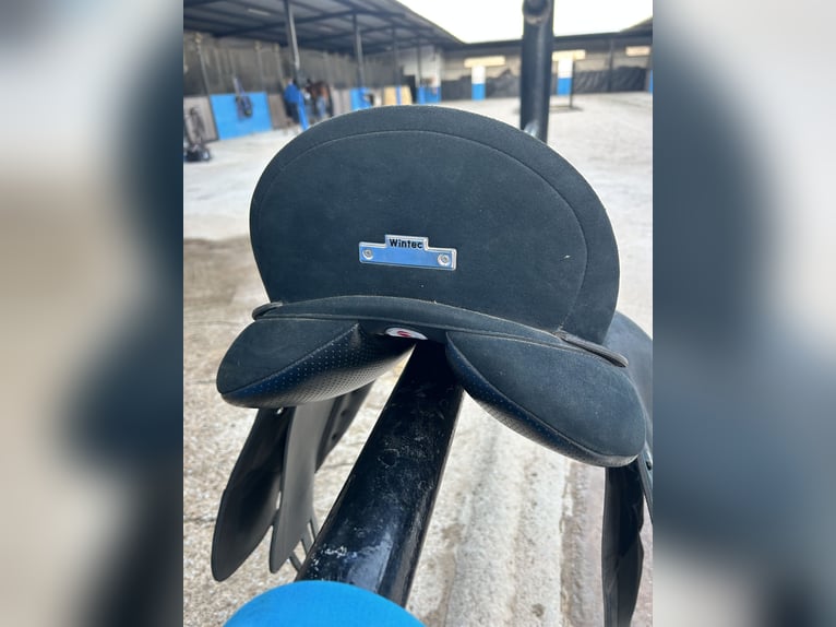Wintec dressage saddle
