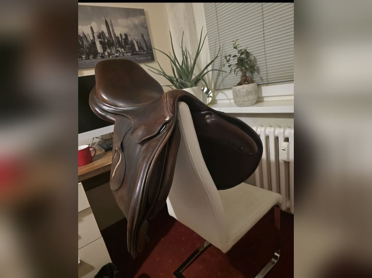Antares Evolution 18"