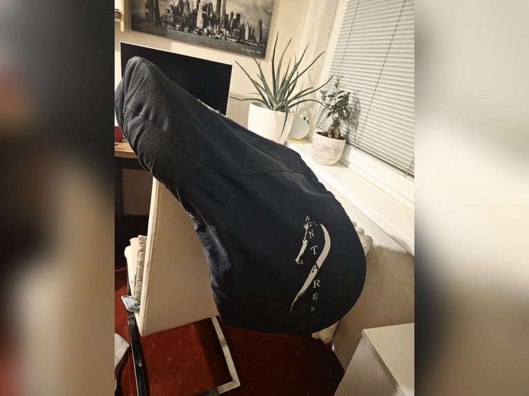 Antares Evolution 18"