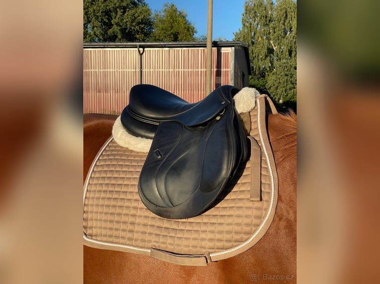 Devocoux Biarritz jumping saddle 