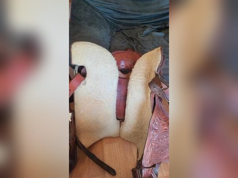 Sears 50111 Western Saddle w/ Blankets, Cinches, Bits and Boots