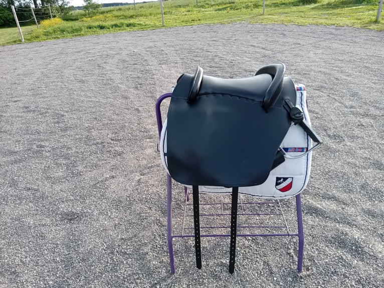 Fantastischer Sattel für die akademische Reitweise