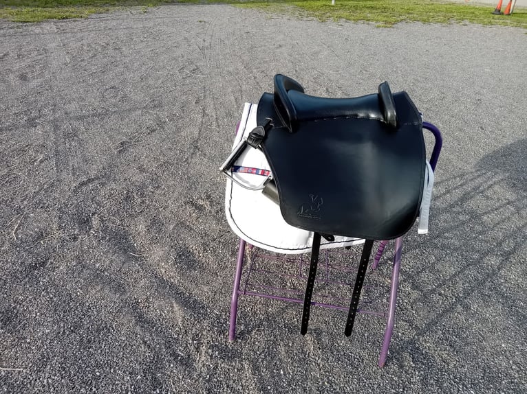 Fantastischer Sattel für die akademische Reitweise