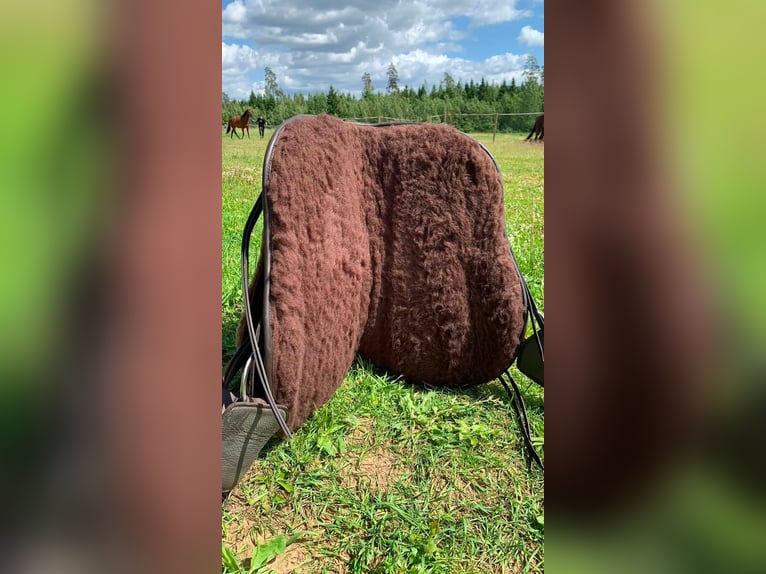 Barefoot Lazy Mountain Westernsattel– Größe 1, Komplettset