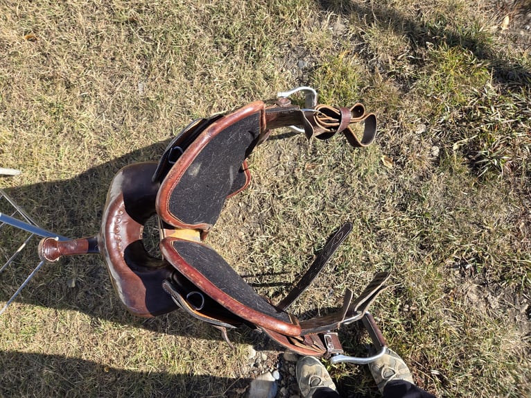 Orthoflex western saddle
