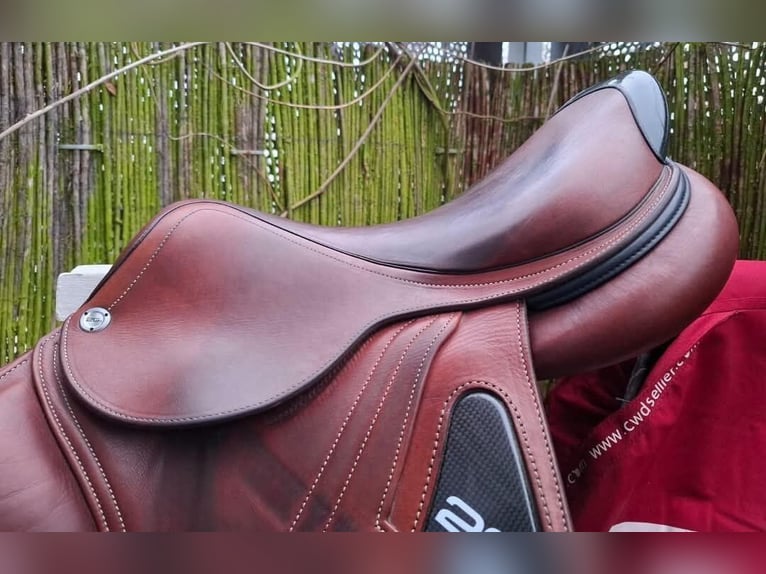 Jumping saddle CWD 2GS SE25 17