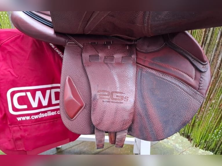 Jumping saddle CWD 2GS SE25 17
