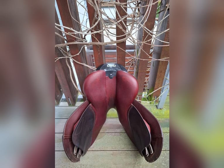 Jumping saddle CWD 2GS SE25 17