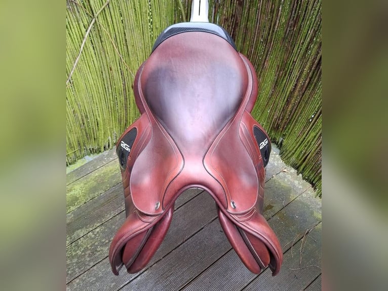 Jumping saddle CWD 2GS SE25 17