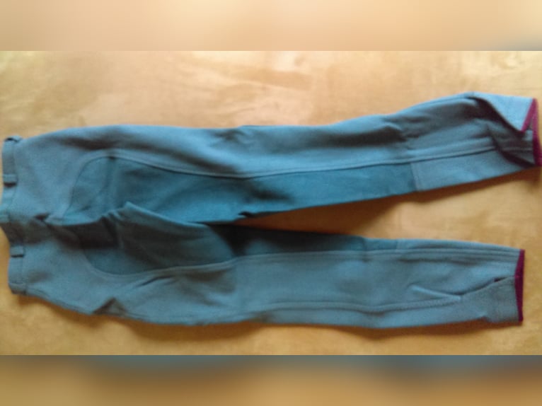 Reithosen Größe 176,38,40+42 schwarz, hellbeige + hellblau Neu