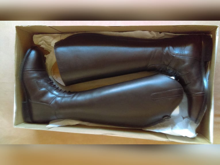 Reitstiefel Petrie 5 1/2 LWX, Königs 6 W, HKM Spain 39 weit