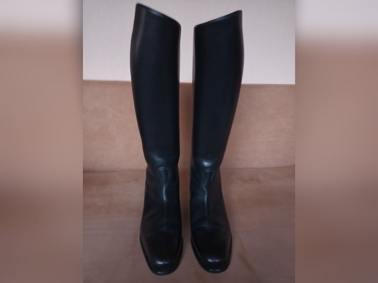 Reitstiefel Petrie 5 1/2 LWX, Königs 6 W, HKM Spain 39 weit