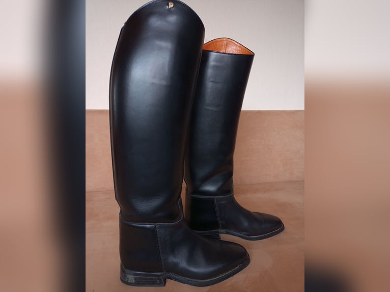 Reitstiefel Petrie 5 1/2 LWX, Königs 6 W, HKM Spain 39 weit