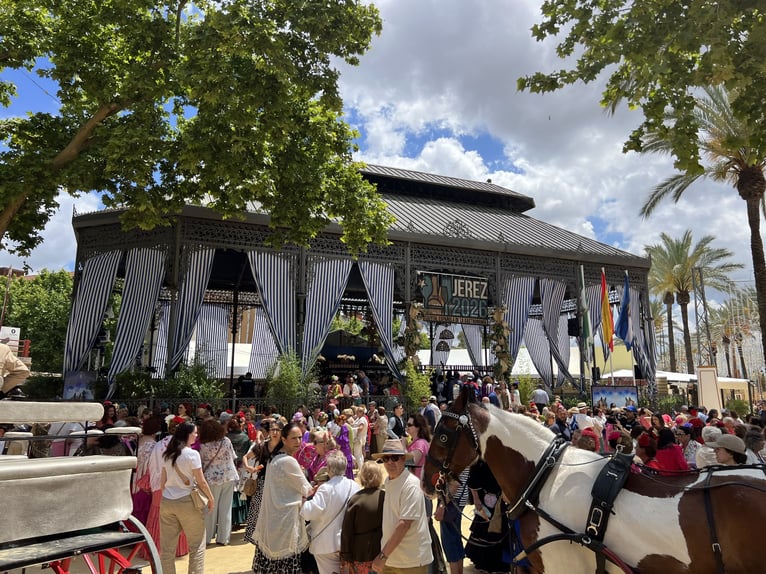 Andalusia and Its Wonderful Horses – Jerez de la Frontera