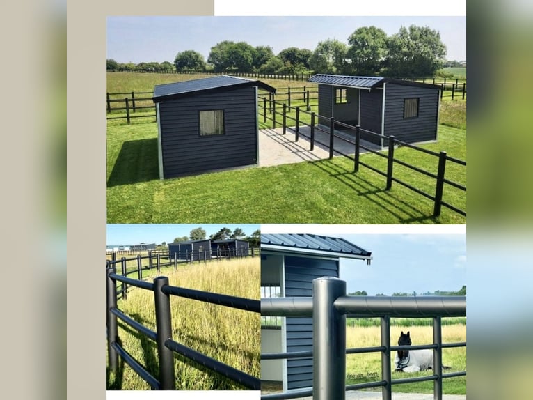 Hidden gem for your dream holiday with your own horse in the Netherlands