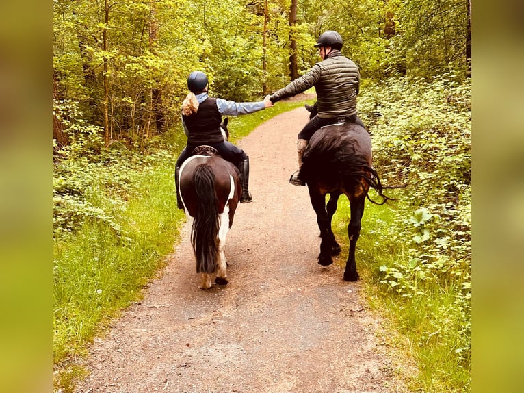 Holiday apartments in a fantastic riding area, directly by the property's own lake.