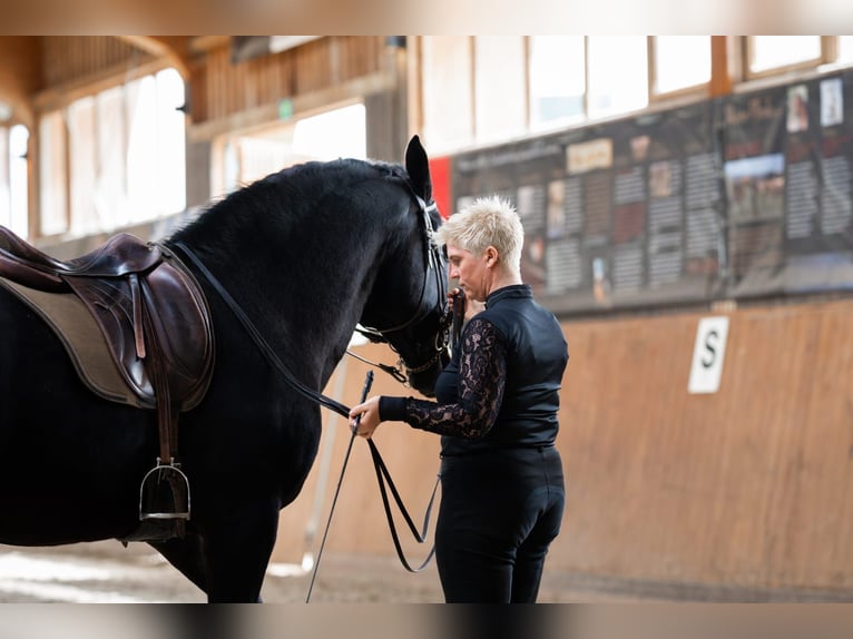 Intensive training days with Josephine Cyr in Martina Franca – Italy